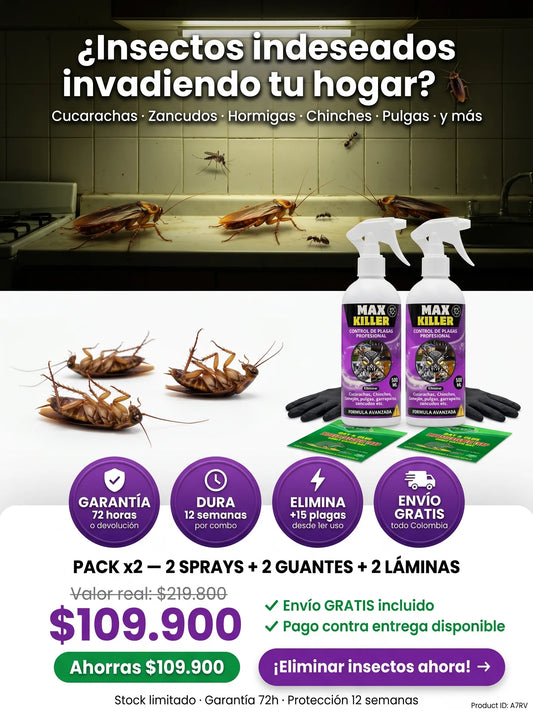 Insectizada Killer